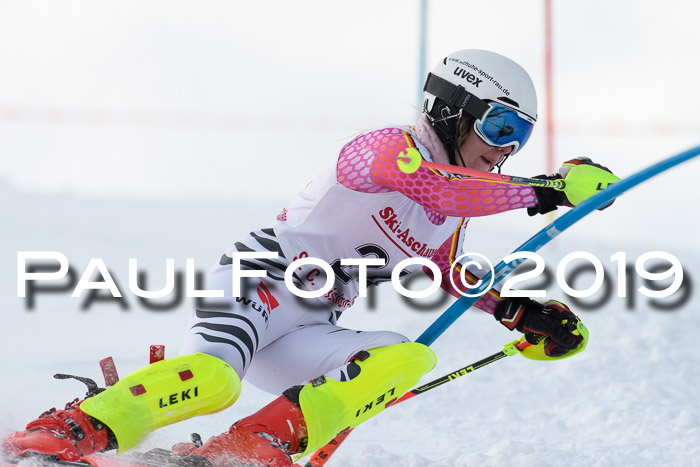 FIS Slalom + NJC Damen + FIS Herren 27.01.2019