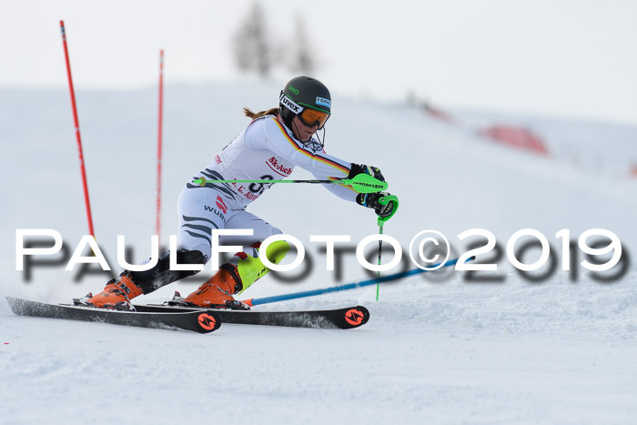 FIS Slalom + NJC Damen + FIS Herren 27.01.2019