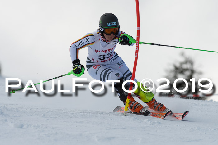 FIS Slalom + NJC Damen + FIS Herren 27.01.2019
