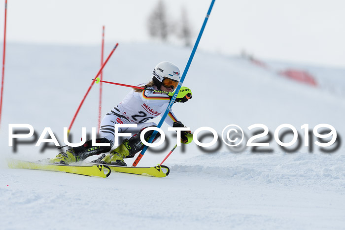 FIS Slalom + NJC Damen + FIS Herren 27.01.2019