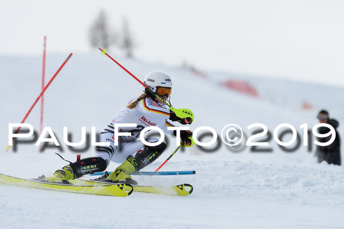 FIS Slalom + NJC Damen + FIS Herren 27.01.2019