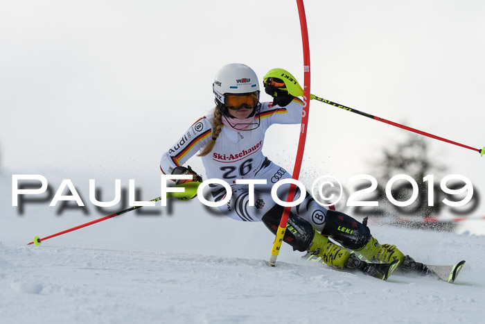 FIS Slalom + NJC Damen + FIS Herren 27.01.2019