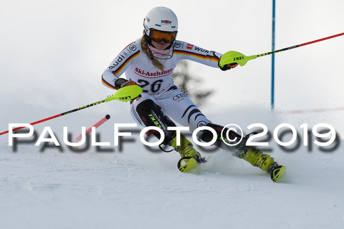 FIS Slalom + NJC Damen + FIS Herren 27.01.2019