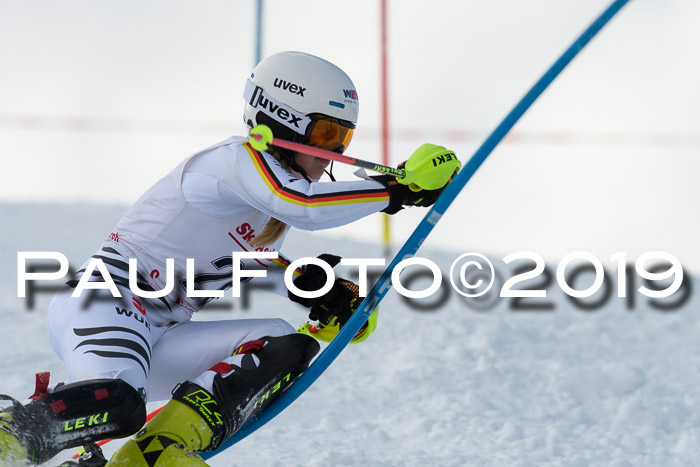 FIS Slalom + NJC Damen + FIS Herren 27.01.2019