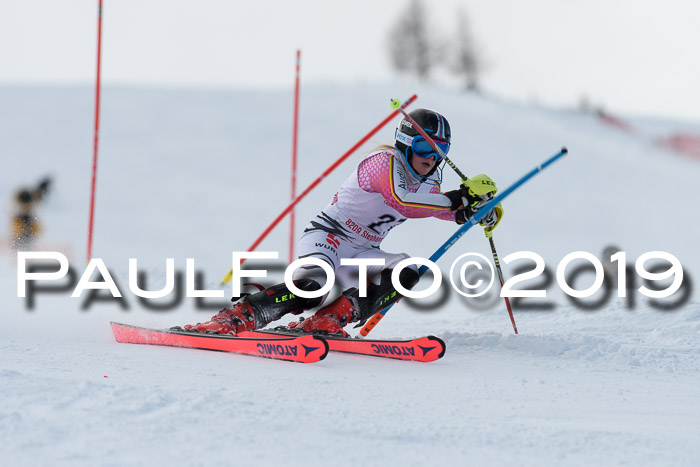 FIS Slalom + NJC Damen + FIS Herren 27.01.2019