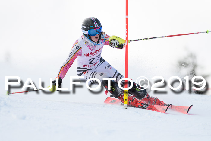 FIS Slalom + NJC Damen + FIS Herren 27.01.2019