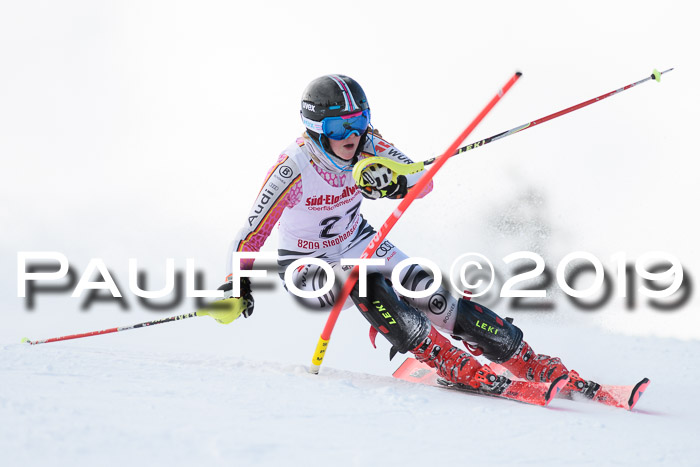 FIS Slalom + NJC Damen + FIS Herren 27.01.2019