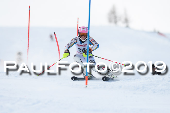 FIS Slalom + NJC Damen + FIS Herren 27.01.2019