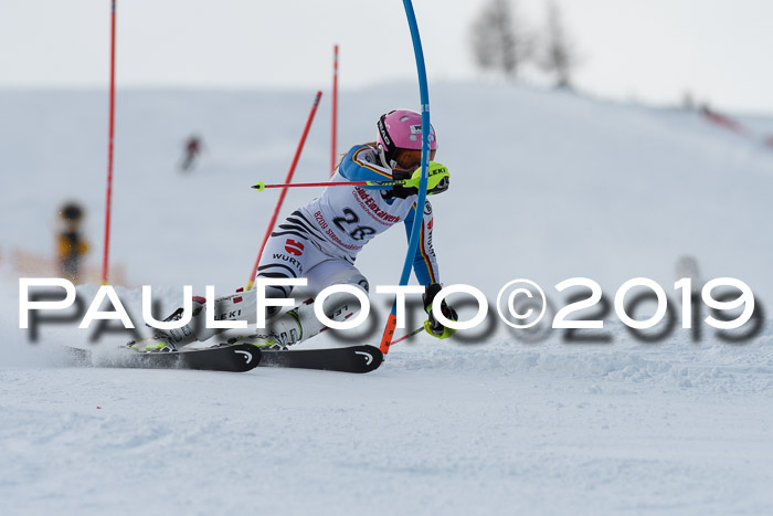 FIS Slalom + NJC Damen + FIS Herren 27.01.2019