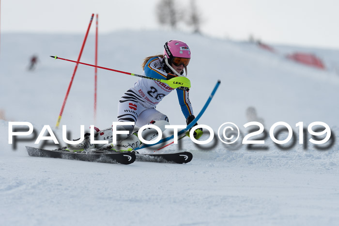 FIS Slalom + NJC Damen + FIS Herren 27.01.2019