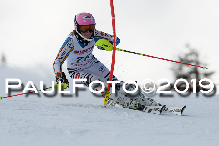 FIS Slalom + NJC Damen + FIS Herren 27.01.2019