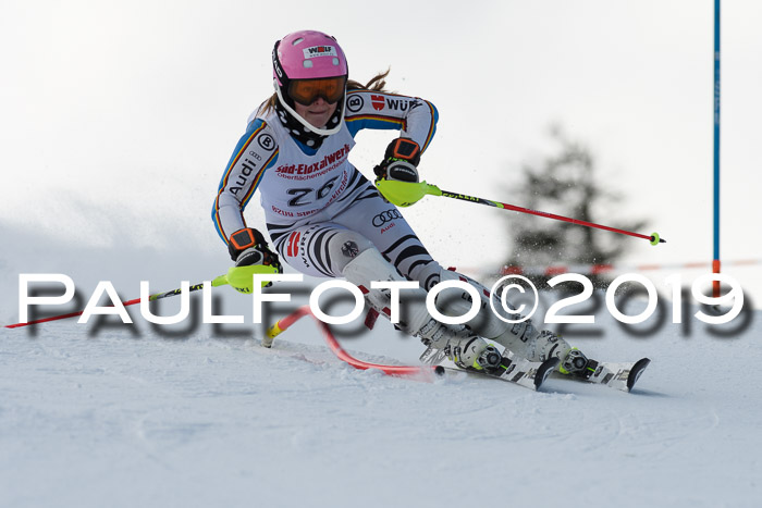 FIS Slalom + NJC Damen + FIS Herren 27.01.2019