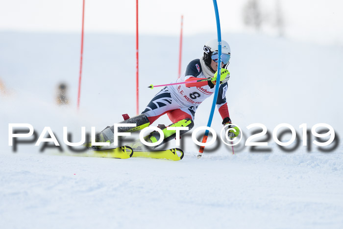 FIS Slalom + NJC Damen + FIS Herren 27.01.2019