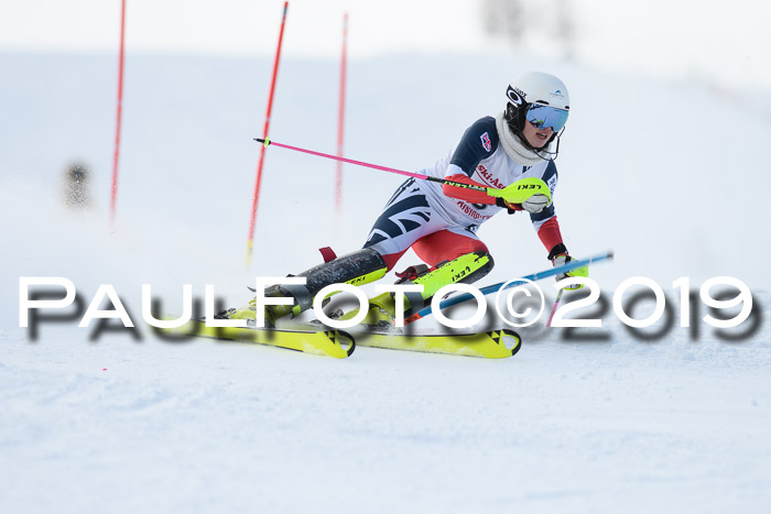 FIS Slalom + NJC Damen + FIS Herren 27.01.2019