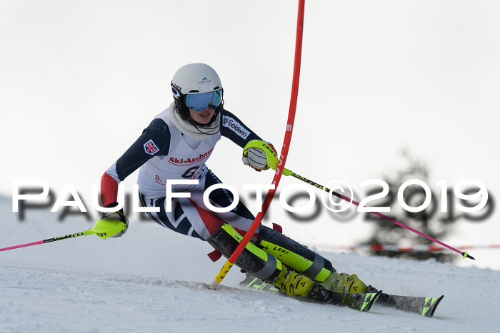 FIS Slalom + NJC Damen + FIS Herren 27.01.2019