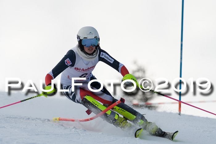 FIS Slalom + NJC Damen + FIS Herren 27.01.2019