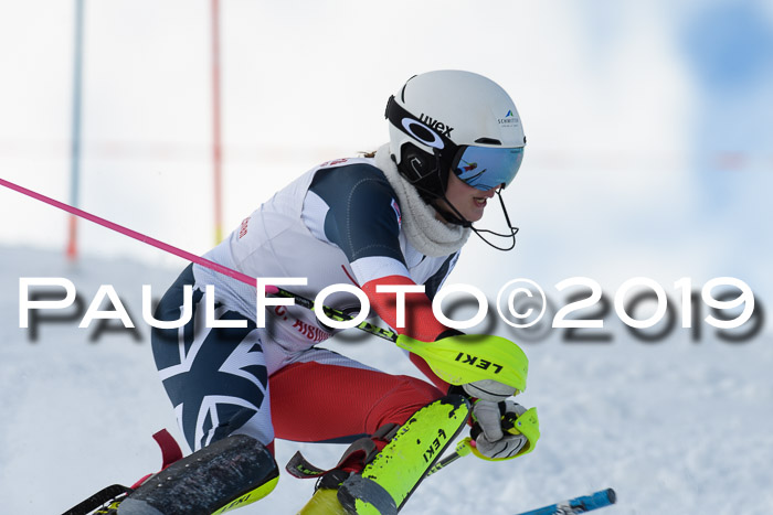 FIS Slalom + NJC Damen + FIS Herren 27.01.2019