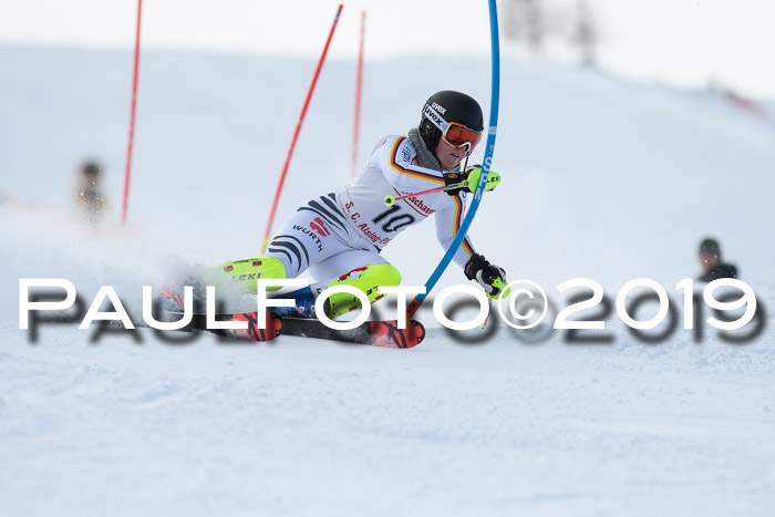 FIS Slalom + NJC Damen + FIS Herren 27.01.2019