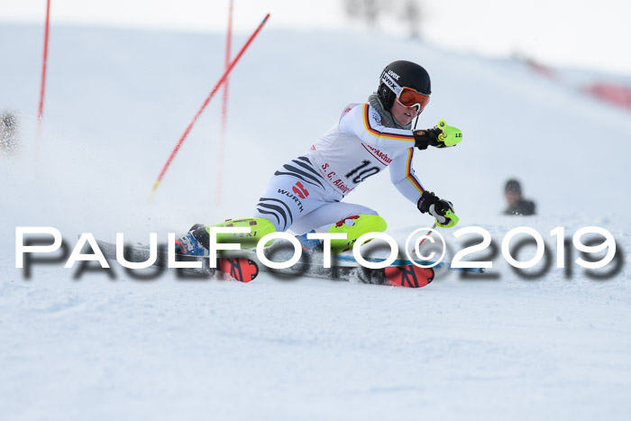 FIS Slalom + NJC Damen + FIS Herren 27.01.2019