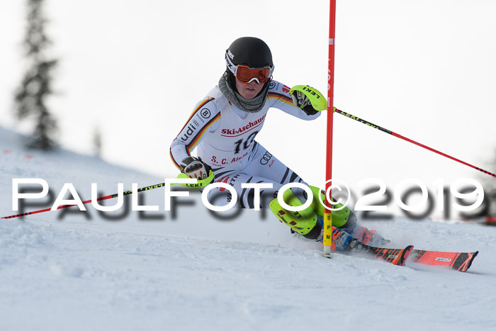FIS Slalom + NJC Damen + FIS Herren 27.01.2019