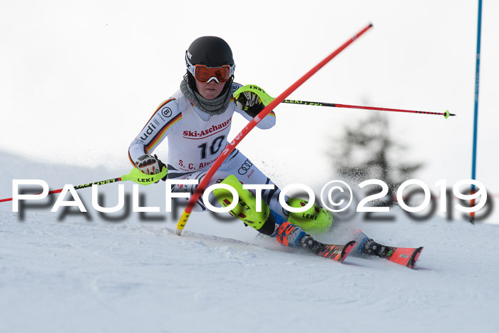 FIS Slalom + NJC Damen + FIS Herren 27.01.2019