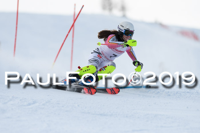 FIS Slalom + NJC Damen + FIS Herren 27.01.2019