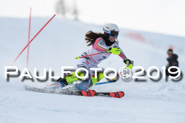 FIS Slalom + NJC Damen + FIS Herren 27.01.2019