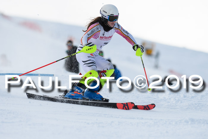FIS Slalom + NJC Damen + FIS Herren 27.01.2019