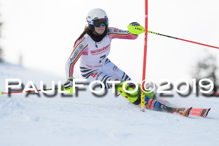 FIS Slalom + NJC Damen + FIS Herren 27.01.2019