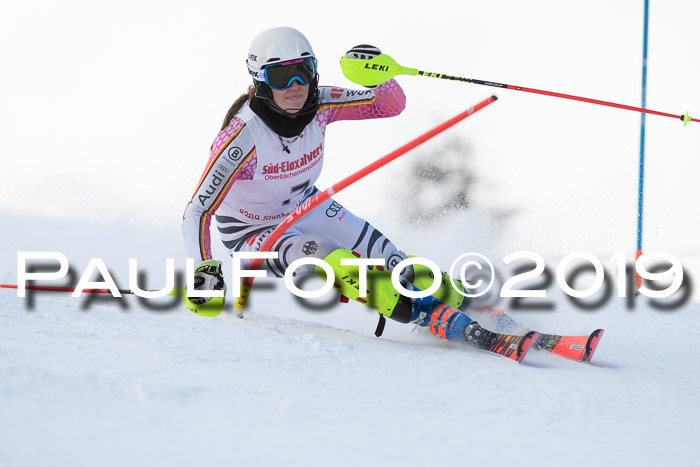 FIS Slalom + NJC Damen + FIS Herren 27.01.2019