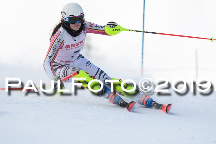 FIS Slalom + NJC Damen + FIS Herren 27.01.2019
