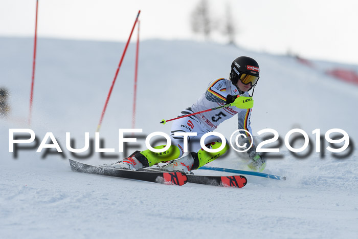 FIS Slalom + NJC Damen + FIS Herren 27.01.2019