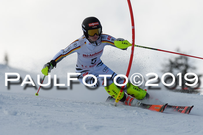 FIS Slalom + NJC Damen + FIS Herren 27.01.2019