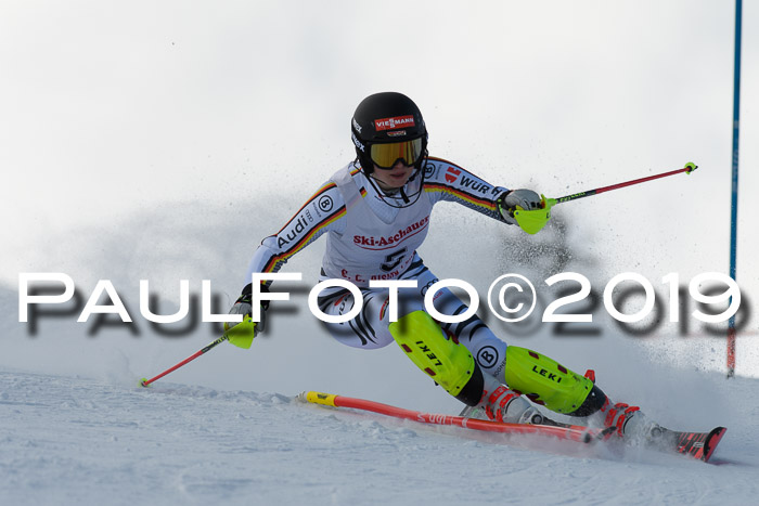 FIS Slalom + NJC Damen + FIS Herren 27.01.2019