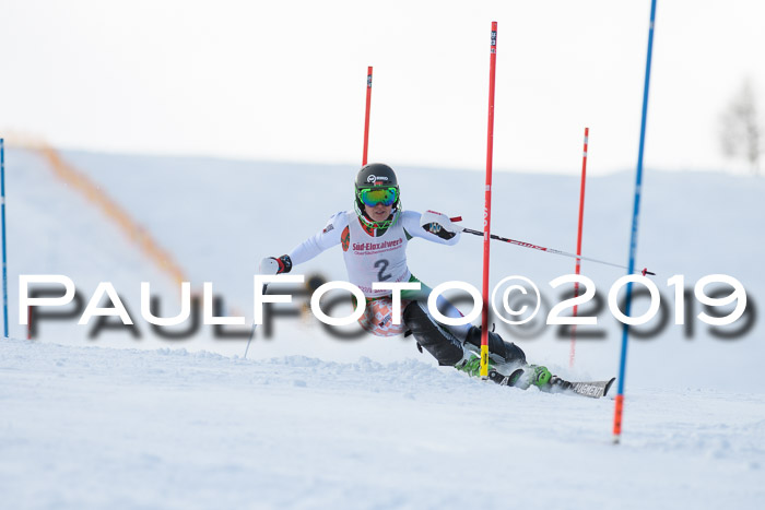 FIS Slalom + NJC Damen + FIS Herren 27.01.2019