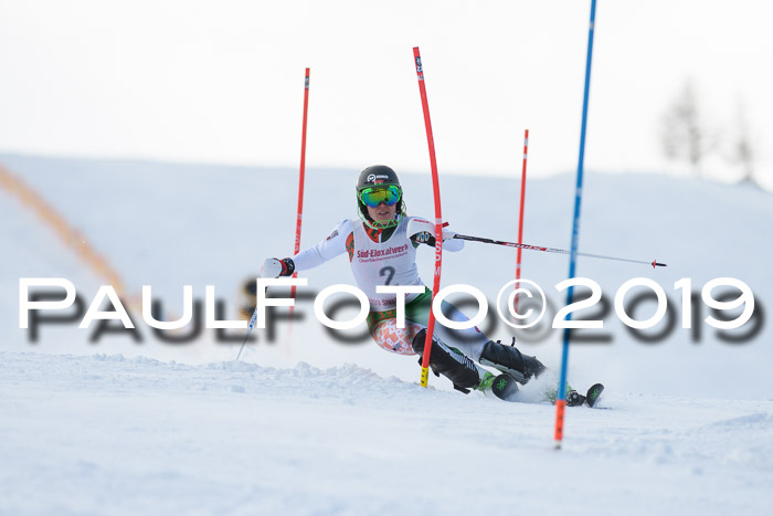 FIS Slalom + NJC Damen + FIS Herren 27.01.2019