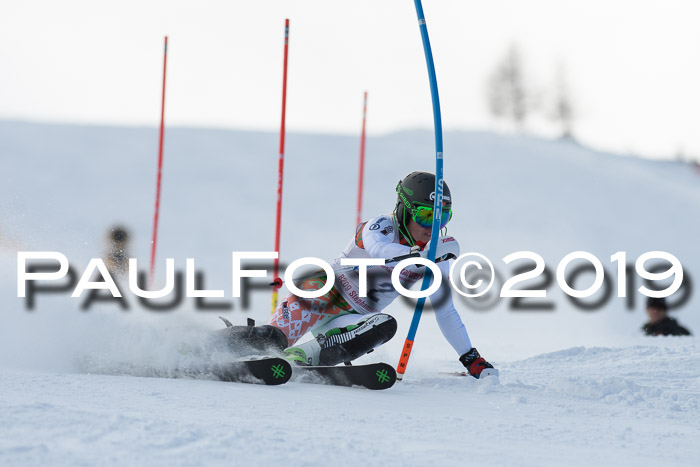 FIS Slalom + NJC Damen + FIS Herren 27.01.2019