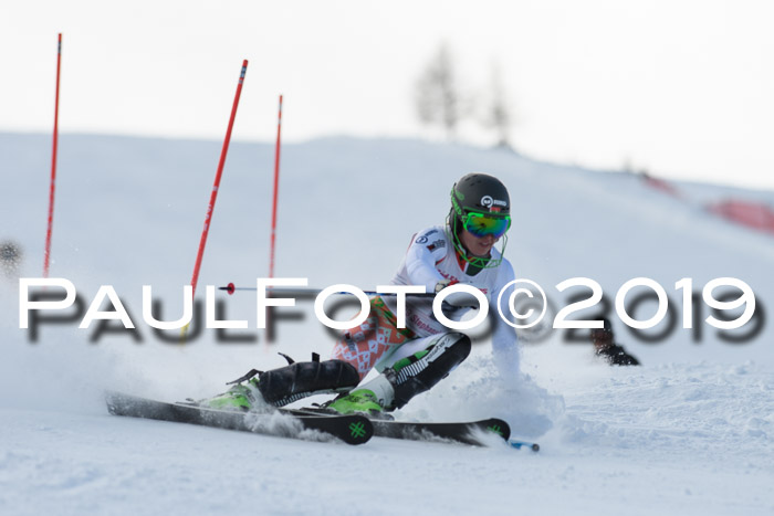 FIS Slalom + NJC Damen + FIS Herren 27.01.2019