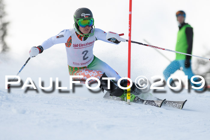 FIS Slalom + NJC Damen + FIS Herren 27.01.2019