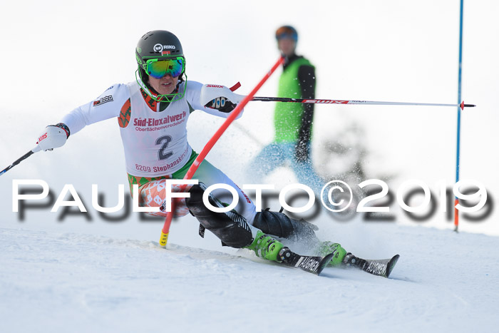 FIS Slalom + NJC Damen + FIS Herren 27.01.2019