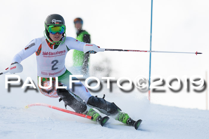 FIS Slalom + NJC Damen + FIS Herren 27.01.2019