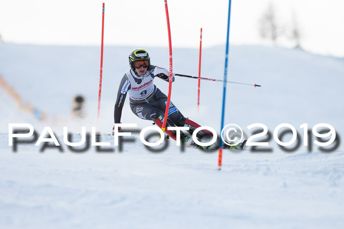 FIS Slalom + NJC Damen + FIS Herren 27.01.2019