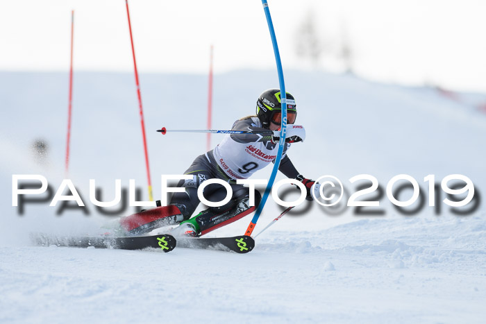 FIS Slalom + NJC Damen + FIS Herren 27.01.2019