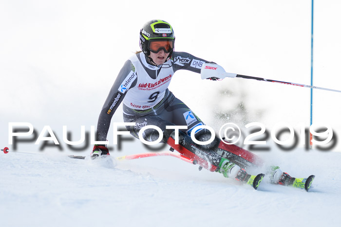 FIS Slalom + NJC Damen + FIS Herren 27.01.2019