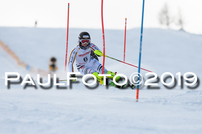 FIS Slalom + NJC Damen + FIS Herren 27.01.2019