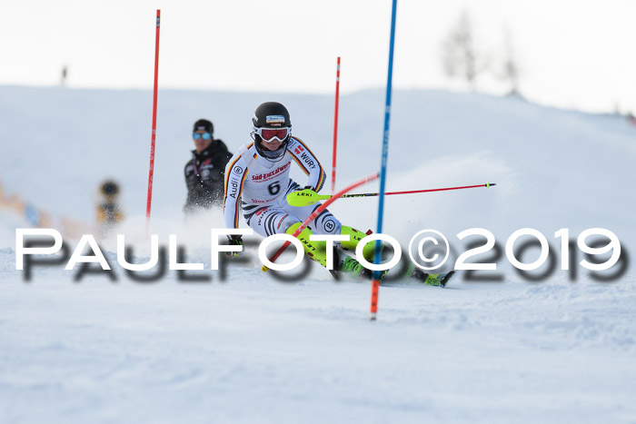 FIS Slalom + NJC Damen + FIS Herren 27.01.2019
