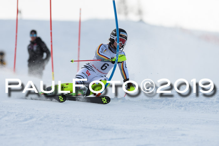FIS Slalom + NJC Damen + FIS Herren 27.01.2019