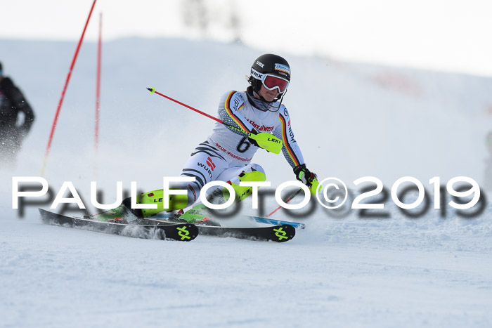 FIS Slalom + NJC Damen + FIS Herren 27.01.2019