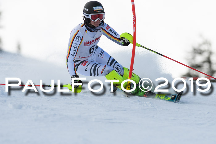 FIS Slalom + NJC Damen + FIS Herren 27.01.2019