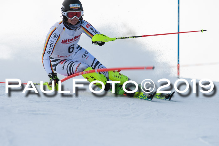 FIS Slalom + NJC Damen + FIS Herren 27.01.2019